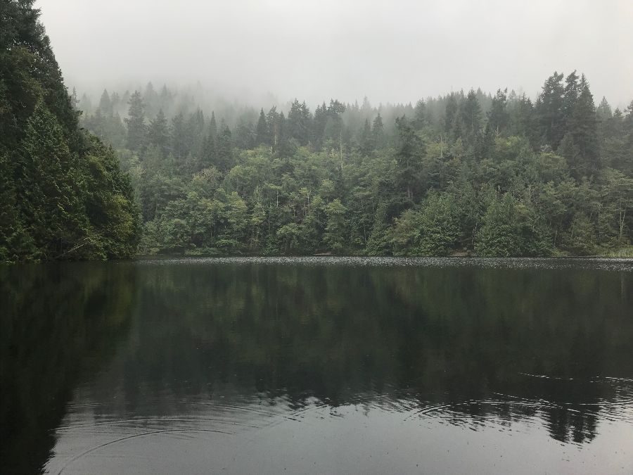 Mist hanging over the trees around a still lake.